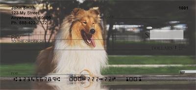Cute Collies