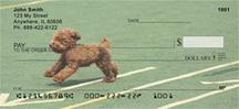 Agile Poodles