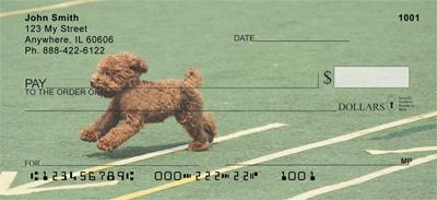 Agile Poodles