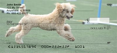 Agile Poodles