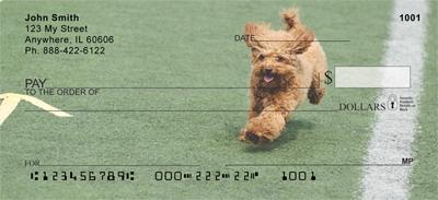 Agile Poodles