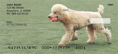 Agile Poodles