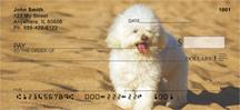 Poodles At The Beach