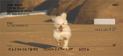 Poodles At The Beach