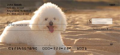 Poodles At The Beach