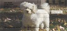 Poodles At The Park