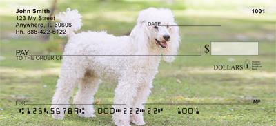 Poodles At The Park