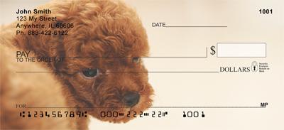 Red Toy Poodle