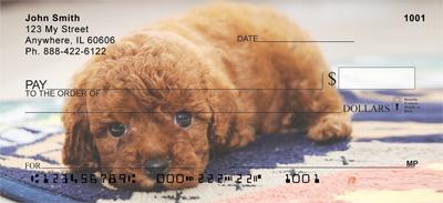 Red Toy Poodle