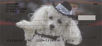 Dolled Up Poodles