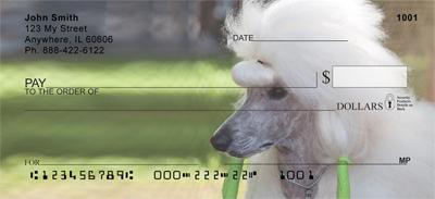 Dolled Up Poodles
