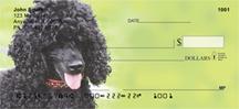 Black Poodles