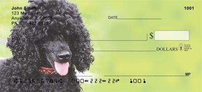 Black Poodles