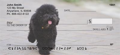 Black Poodles