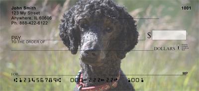 Black Poodles
