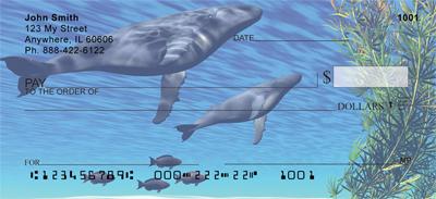 Whale Illustration
