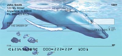 Whale Illustration