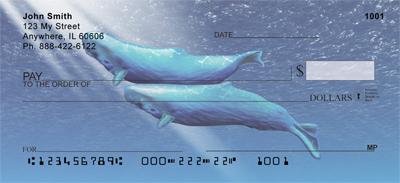 Whale Illustration