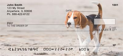 Beagles At The Beach