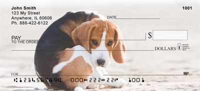 Beagles At The Beach