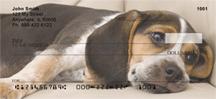 Resting Beagles