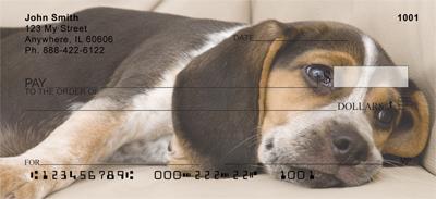 Resting Beagles