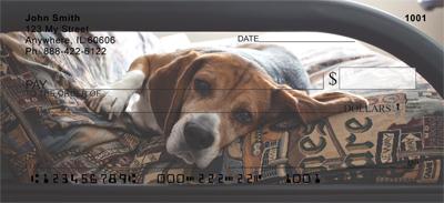 Resting Beagles
