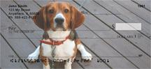 Cute Beagles