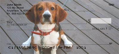 Cute Beagles