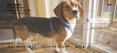 Cute Beagles