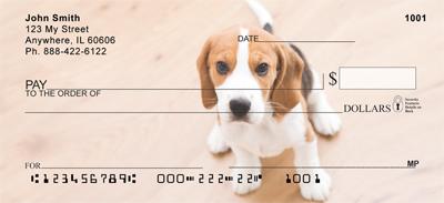 Cute Beagles