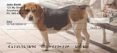 Cute Beagles