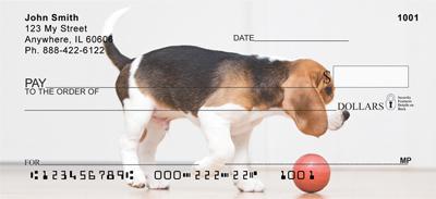 Active Beagles