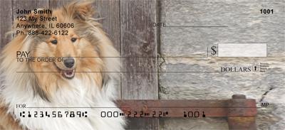 Classic Collies