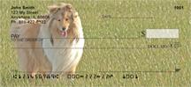 Eager Collies