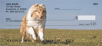 Playful Collies