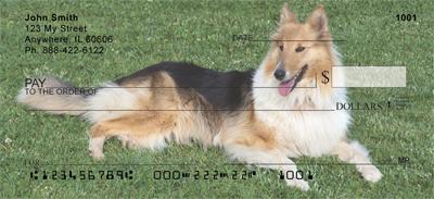 Collies In The Grass