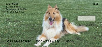 Collies In The Grass