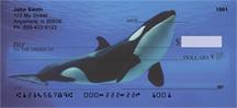 Orcas
