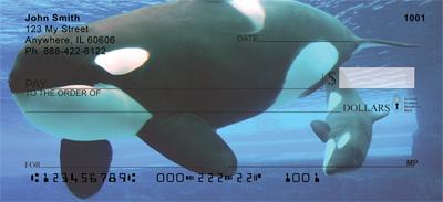 Orcas