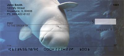 Beluga Whales