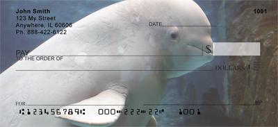Beluga Whales