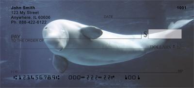 Beluga Whales