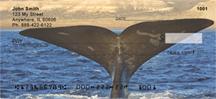 Whale Tails