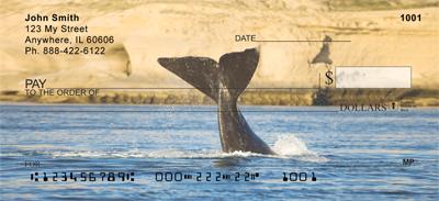 Whale Tails