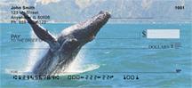 Breaching Whales