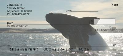 Breaching Whales