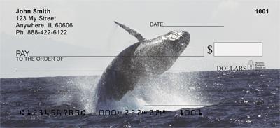 Breaching Whales