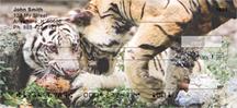 Playful Tigers