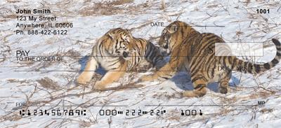 Playful Tigers